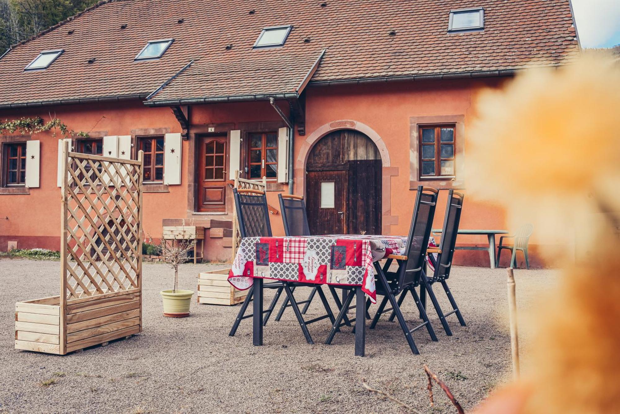 Apartamento La Fermette Vosgienne De La Goutte Steige Exterior foto