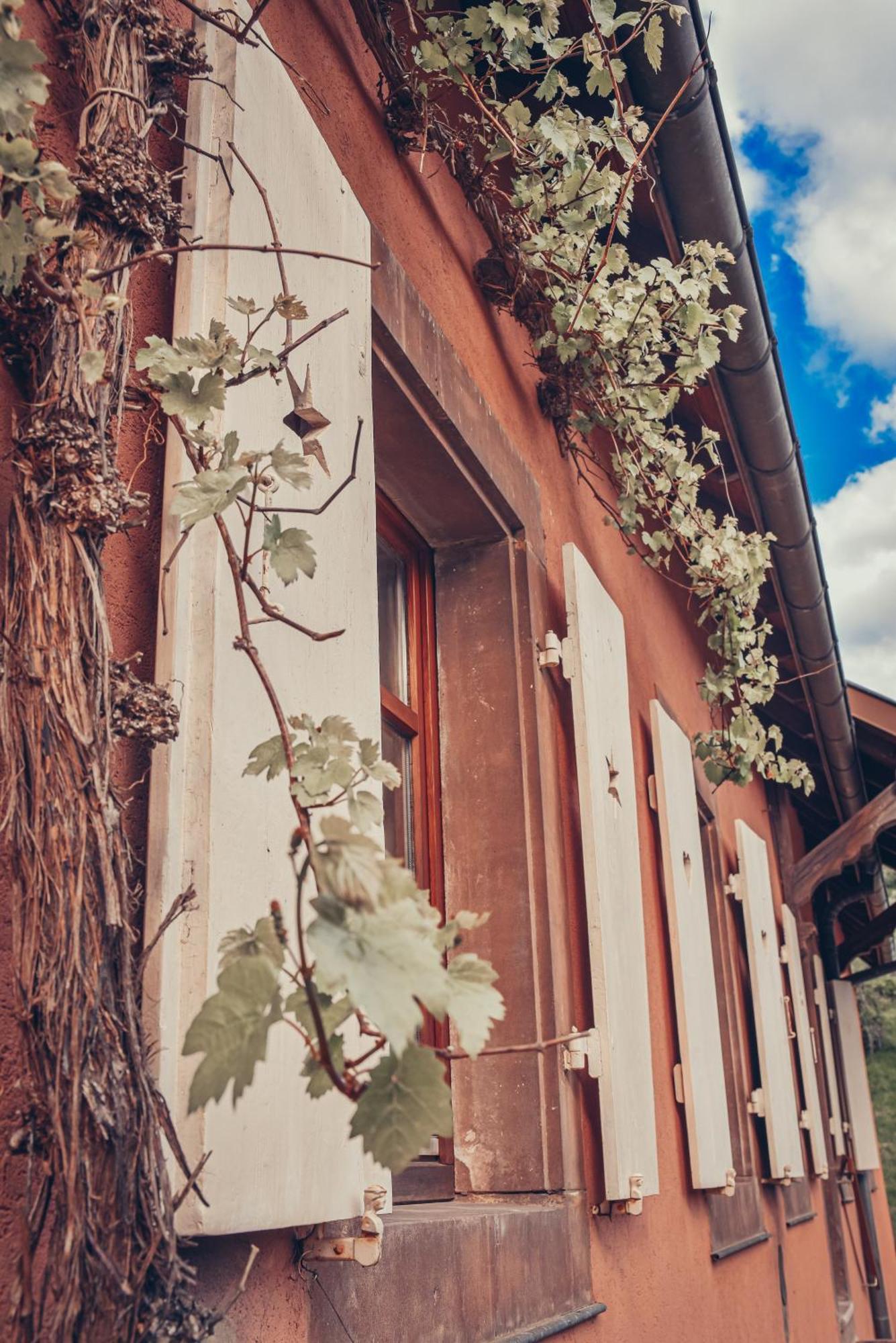 Apartamento La Fermette Vosgienne De La Goutte Steige Exterior foto