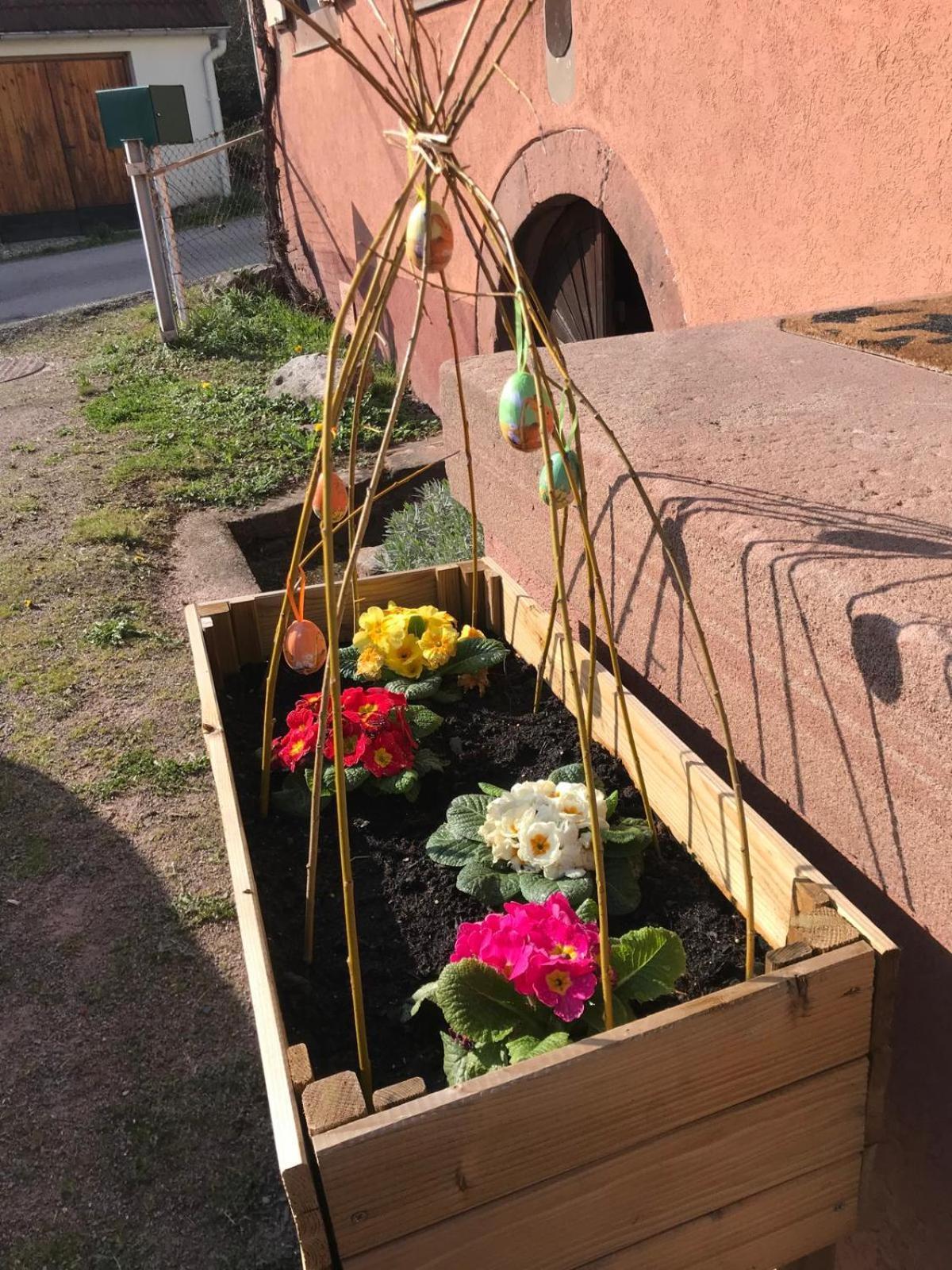 Apartamento La Fermette Vosgienne De La Goutte Steige Exterior foto
